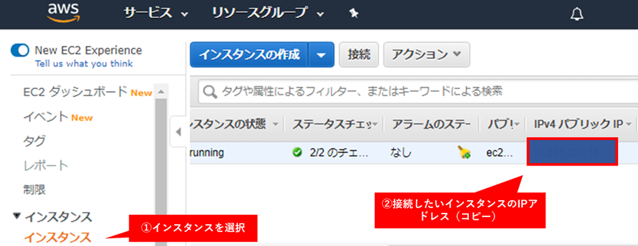 AWS EC2インスタンスのパブリックIPアドレス